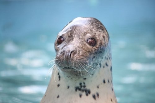 おびひろ動物園０７