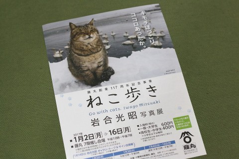 ねこ歩き写真展
