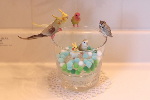 鳥