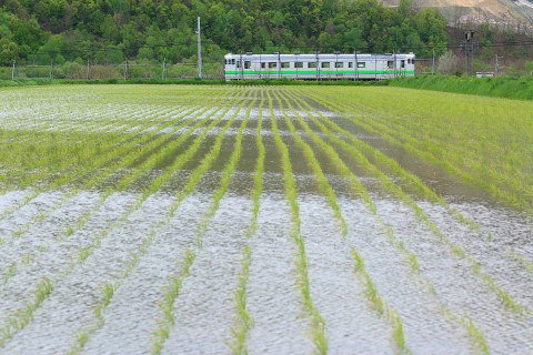 富良野へ