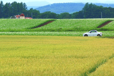 今日も・・