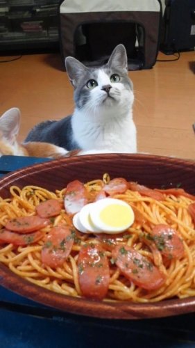 ぎふうだけじゃ足りないので