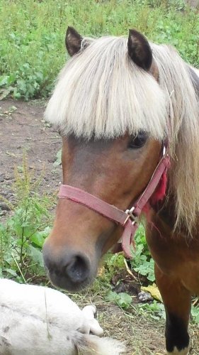 ナオミキャンベル