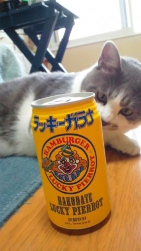 ラッキーガラナで