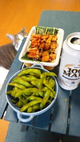 お疲れにゃ～ん(≧∇≦)