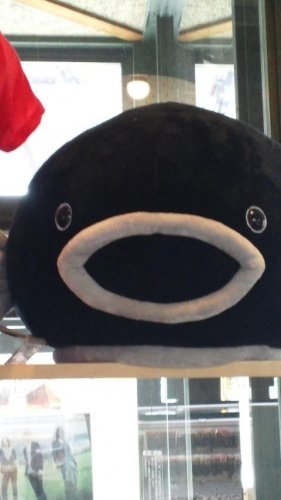 ゴッコとズラー