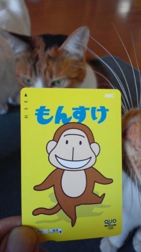 ＨＢＣラジオの