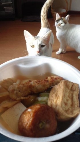 セブンイレブンで