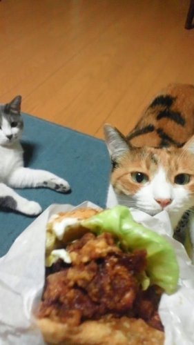 チャイニーズチキンバーガー