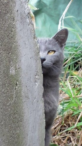 月曜ワイド劇場