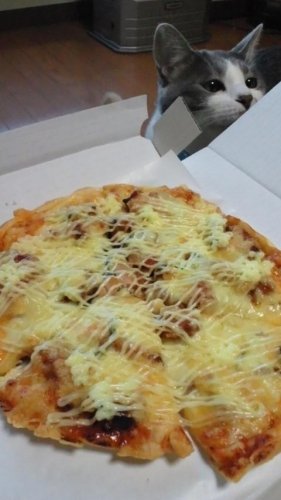 チャイニーズチキンピザ