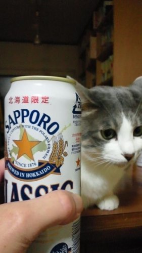 お疲れにゃ～ん