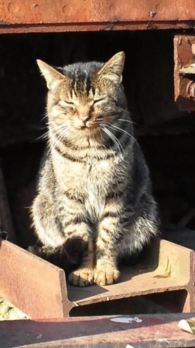 死んだと思ってた…