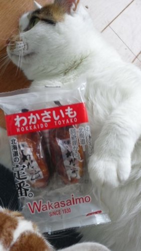 年寄りが食べても