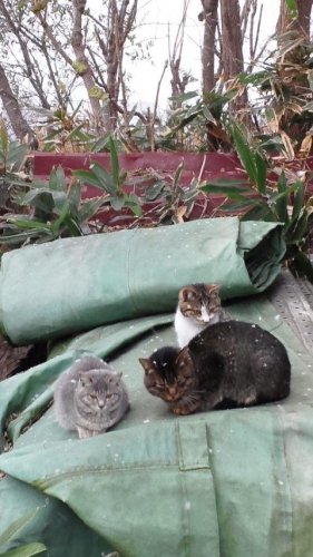 えらいこっちゃ(°□°;)