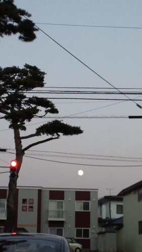 赤信号の右側に