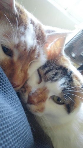 大野さっちゃん