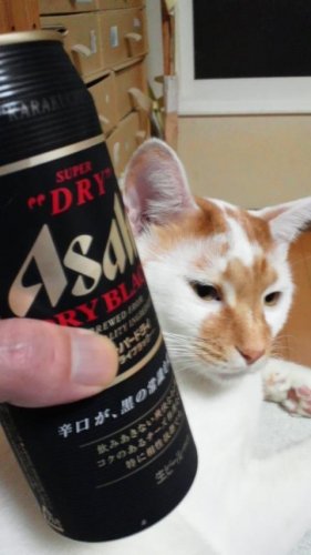 賞味期間切れ寸前