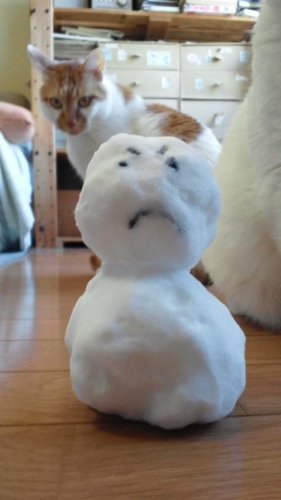 ミニダルマくん