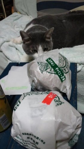 ラッキーピエロ警備隊