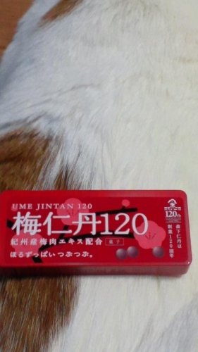 ほろずっぱいつぶつぶ