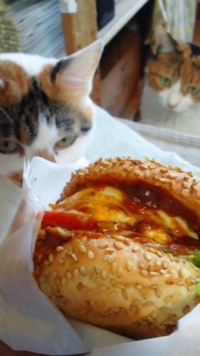 ラッキーピエロ