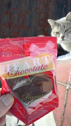 近所のおばあちゃんから