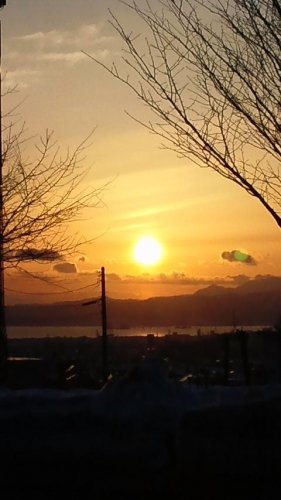 穏やかな一日に