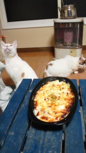 食いしん坊軍団