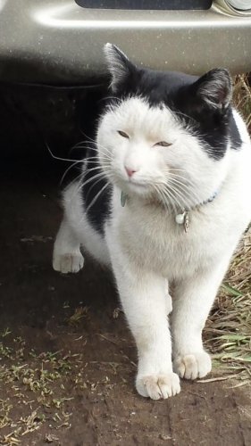 きみまろさん