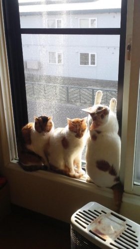 ここは俺がくいとめた！