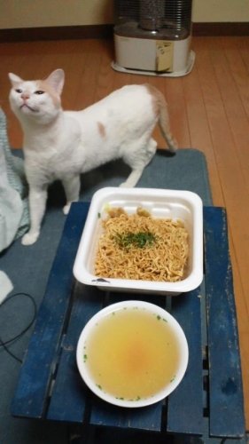 夜食の定番