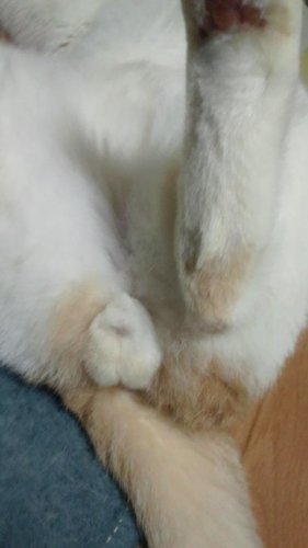 みんな見てくれ
