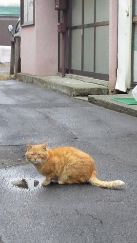 中島君
