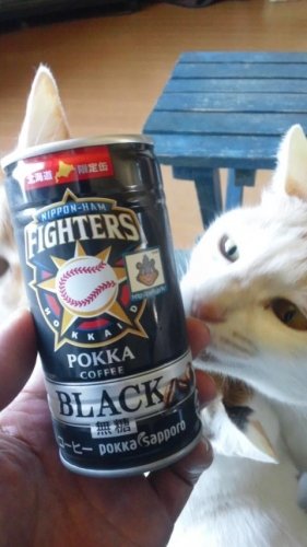 ファイターズ