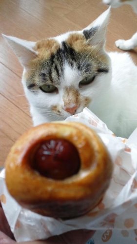ソーセージベーグル