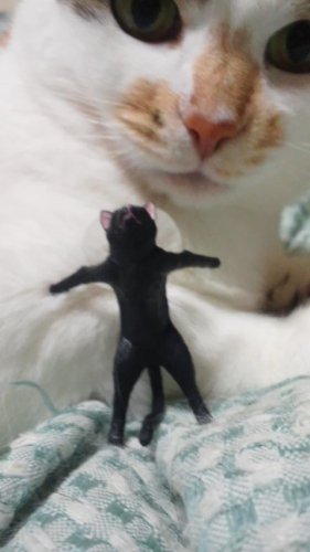 ここは俺がくいとめた…