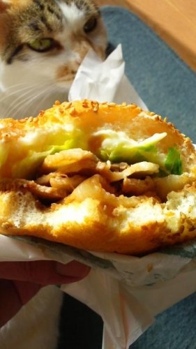 生姜焼きバーガー