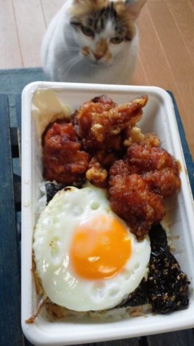 ラッキー海苔弁