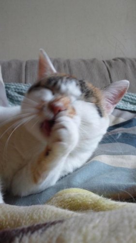 喰うために働いて