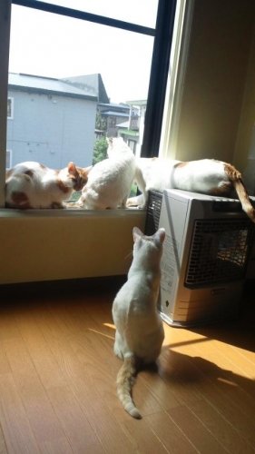 久しぶりに