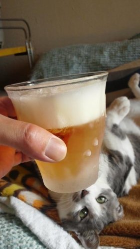今日も一日