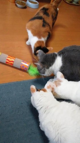 おもちゃ