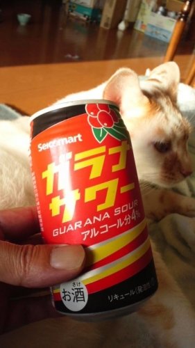 ガラナサワー