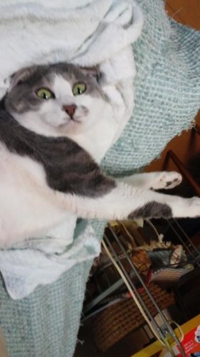 ソソソクラテスか