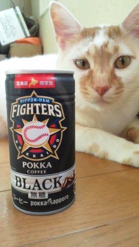 大野頼むぞ！