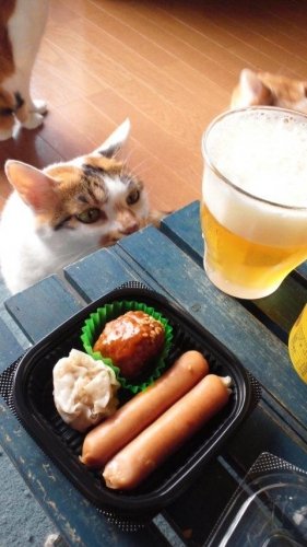 さっちゃん