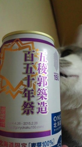 五稜郭築造百五十年祭