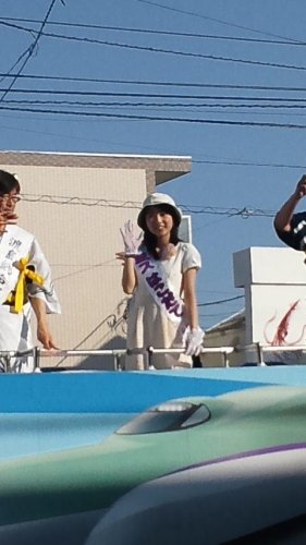 ミスはこだて