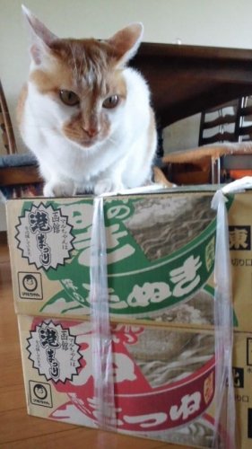 ＨＢＣカーナビラジオで